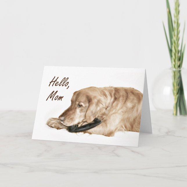 Golden Retriever anropa Mamma Kort (Framsida)