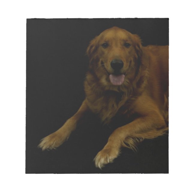 Golden Retriever Anteckningsblock (Framsida)