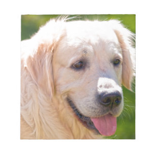 Golden Retriever Anteckningsblock