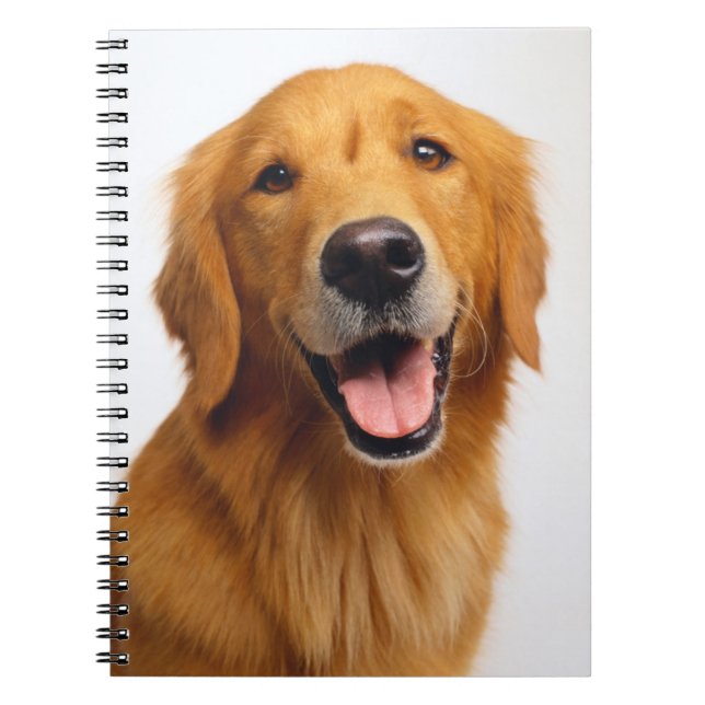 Golden Retriever Anteckningsbok (Framsidan)