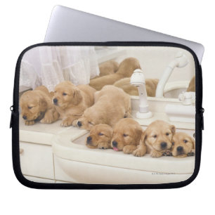 Golden Retriever, är en relativt modern och 2 Laptop Fodral