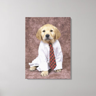 Golden Retriever; är en relativt modern och Canvastryck