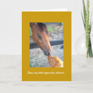 Golden Retriever årsdagskort, Motsatser Kort