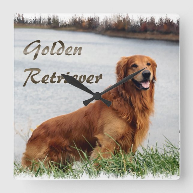 Golden Retriever Art Fyrkantig Klocka (Framsida)