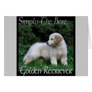 Golden Retriever Art-presentationer Hälsningskort