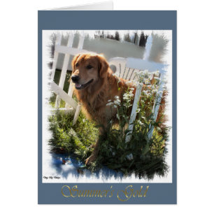 Golden Retriever Art-presentationer Hälsningskort