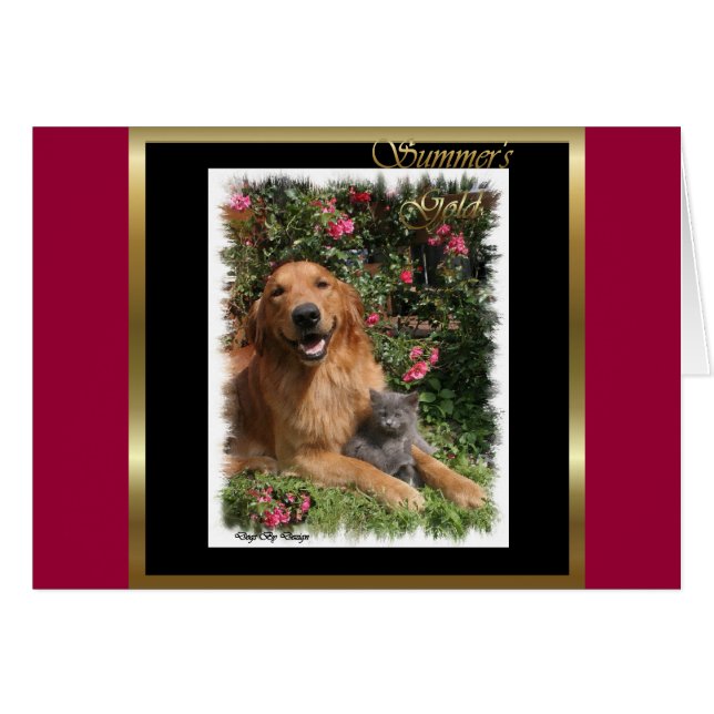 Golden Retriever Art-presentationer Hälsningskort (Framsidan Horizontal)