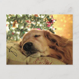 Golden Retriever Asomby Julgran Helg Vykort