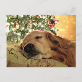 Golden Retriever Asomby Julgran Helg Vykort