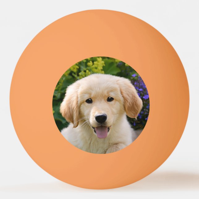 Golden Retriever Baby Hund Puppy Funny Pet Photo * Pingisboll (Framsidan)