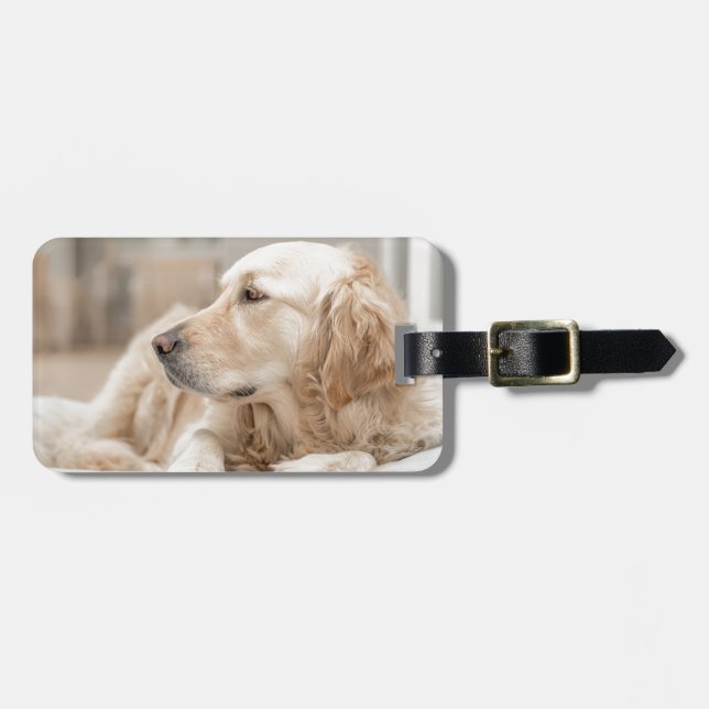 Golden Retriever Bagagebricka (Horisontell Framsida)
