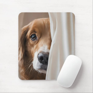 Golden Retriever bakom en ridå Musmatta