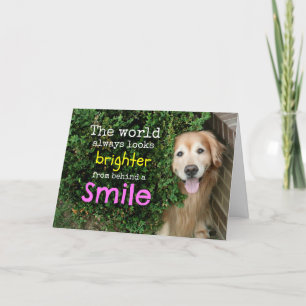 Golden Retriever bakom en sjömil Kort