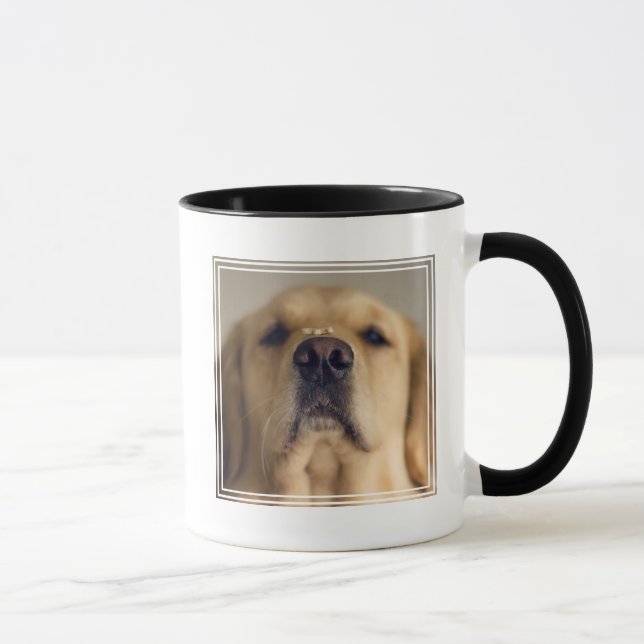 Golden Retriever Balancing Treat on Nose Mugg (Höger)