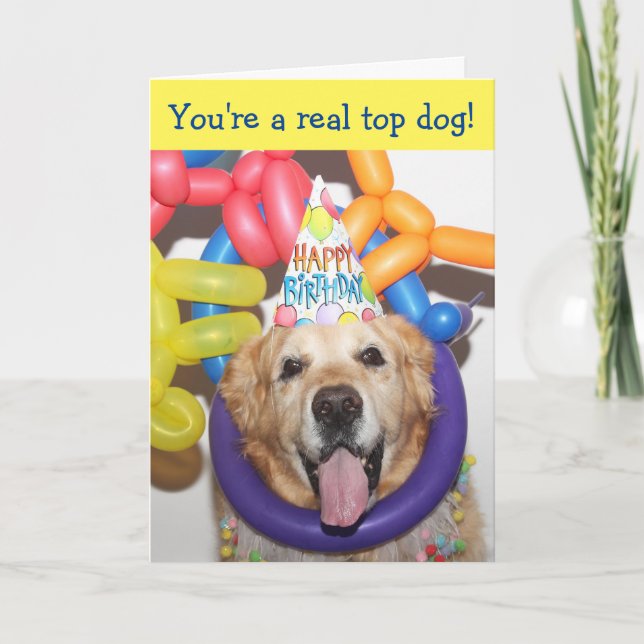 Golden Retriever Balloon Birthday Kort (Framsida)