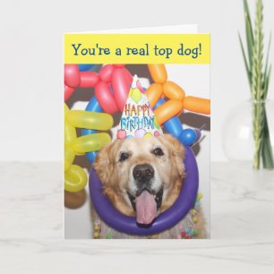 Golden Retriever Balloon Birthday Kort