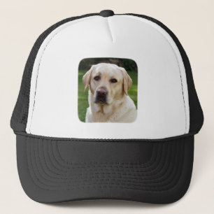 Golden Retriever Baseball / Truckerkeps