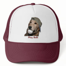 Golden Retriever Basel Puppy