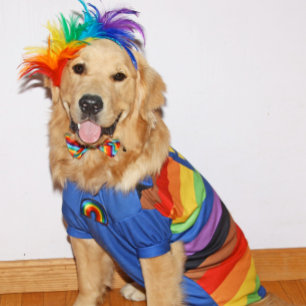 Golden Retriever BE You Pride Kort