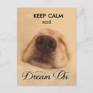 Golden Retriever Behålla Lugn Dream On Vykort