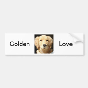 Golden Retriever Bildekal