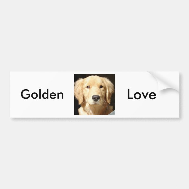 Golden Retriever Bildekal (Framsidan)