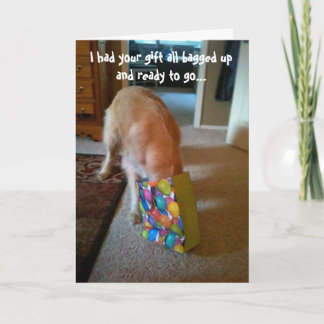 Golden Retriever Birthday Card Kort