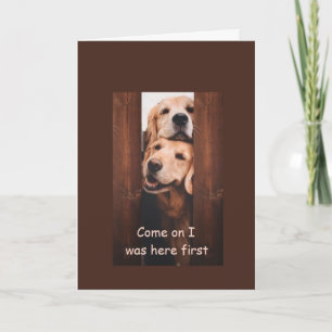 Golden Retriever Birthday Card Kort