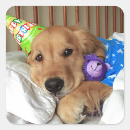 Golden Retriever Birthday Fyrkantigt Klistermärke