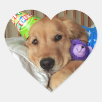Golden Retriever Birthday
