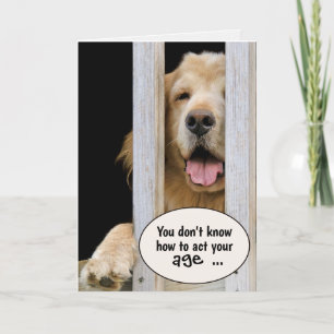 Golden Retriever Birthday Humor Kort