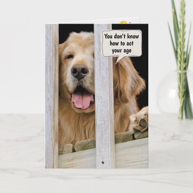 Golden Retriever Birthday Humor Kort (Framsida)