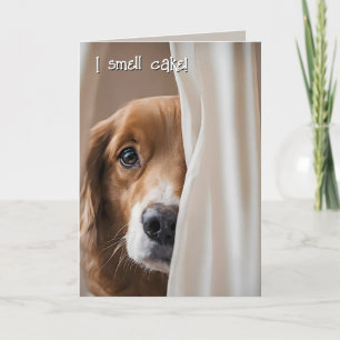 Golden Retriever Birthday Humor Kort