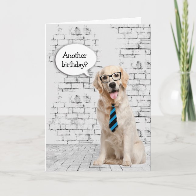 Golden Retriever Birthday Humor Kort (Framsida)