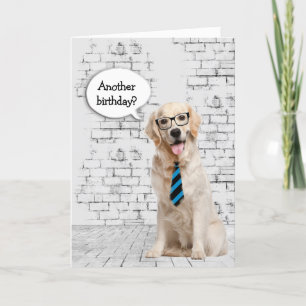 Golden Retriever Birthday Humor Kort