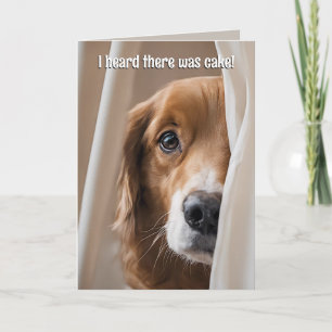 Golden Retriever Birthday Humor Kort