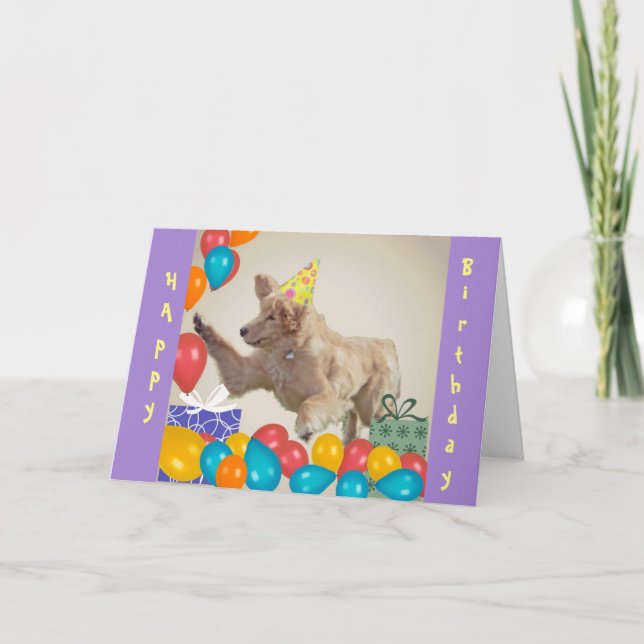 Golden Retriever Birthday Kort (Framsida)