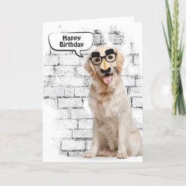 Golden Retriever Birthday Kort