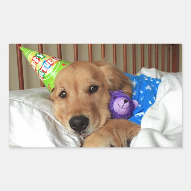 Golden Retriever Birthday Rektangulärt Klistermärke (Framsida)