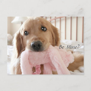 Golden Retriever Bli Mine Valentindagen Helg Vykort