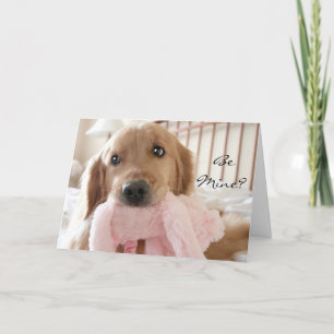 Golden Retriever Bli Mine Valentindagen Helgkort