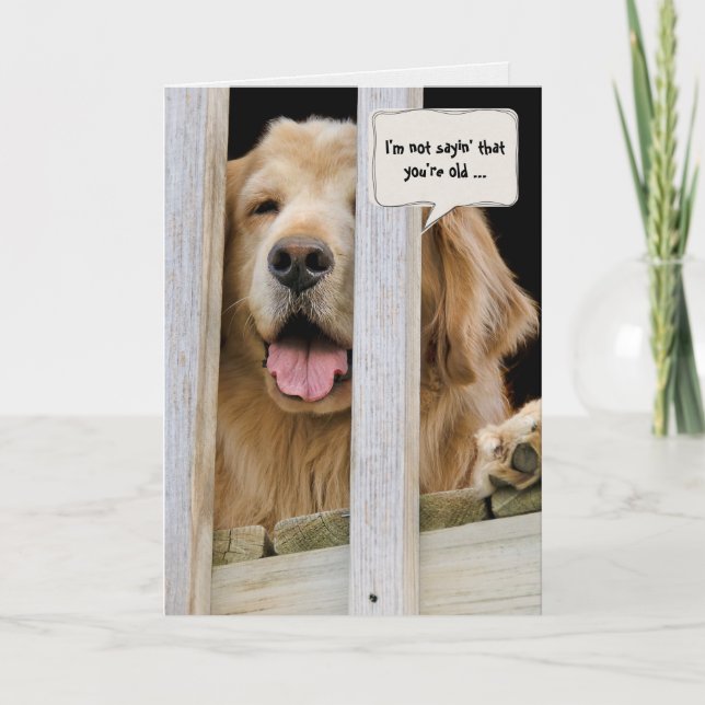Golden Retriever blir äldre humor Kort (Framsida)