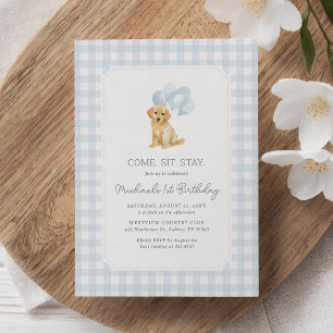 Golden Retriever Blue Gingham Birthday Inbjudningar