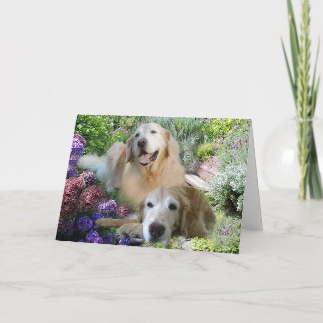 Golden Retriever Buddies-kort Kort (Framsida)