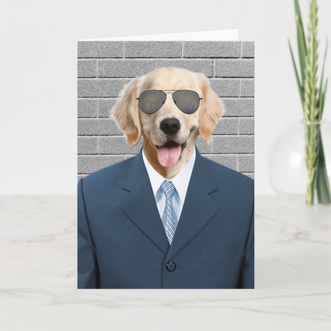 Golden Retriever Business Kostym Kort (Framsida)