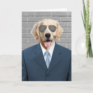 Golden Retriever Business Kostym Kort