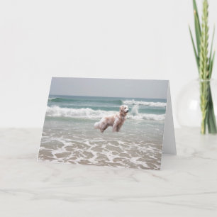 Golden Retriever by Sea Card Kort