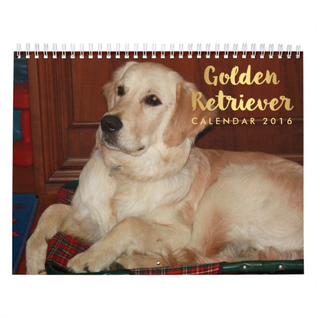 Golden Retriever Calendar 2016 Kalender (Omslag)