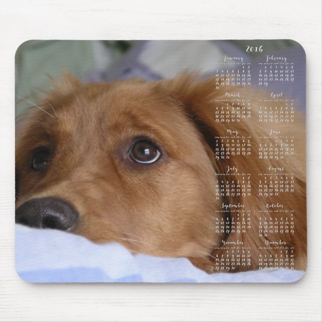 Golden Retriever Calendar 2016 Mus mattor Musmatta (Framsidan)