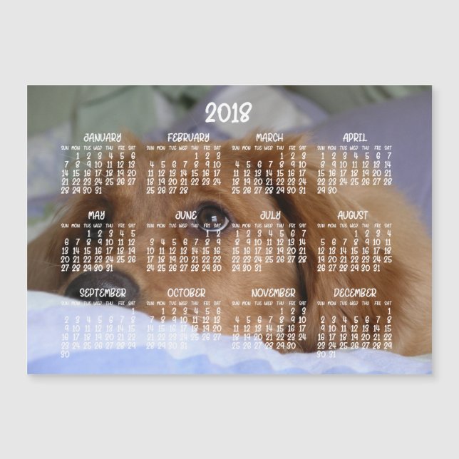 Golden Retriever Calendar 2018 Magnetic Card 5x7 (Framsida)